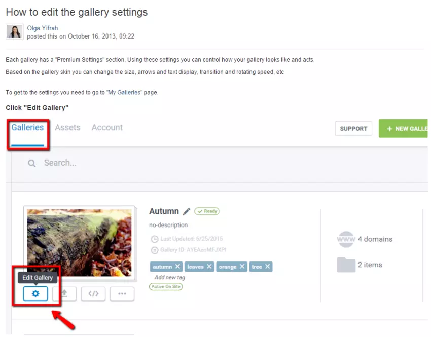 How to edit the gallery settings